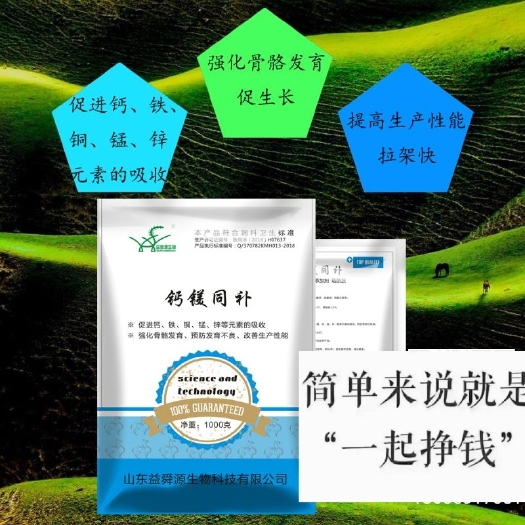 诸城市混合型饲料添加剂  强化骨骼预防发育不良，改善生产性能。促进钙铁锌铜锰等元素吸收