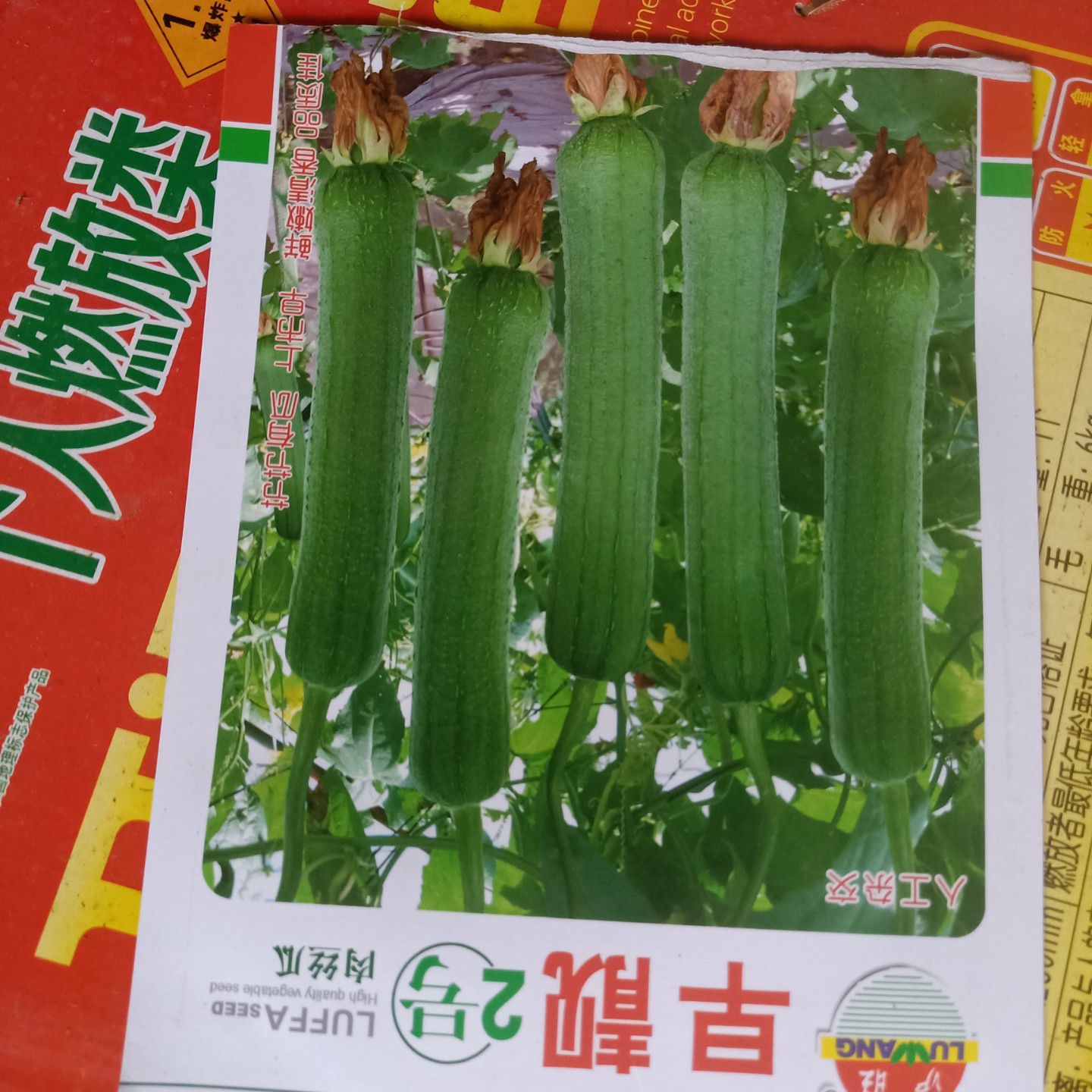 湖南基地直供各类优质苦瓜苗，常年接受预定和代育，量大从优。