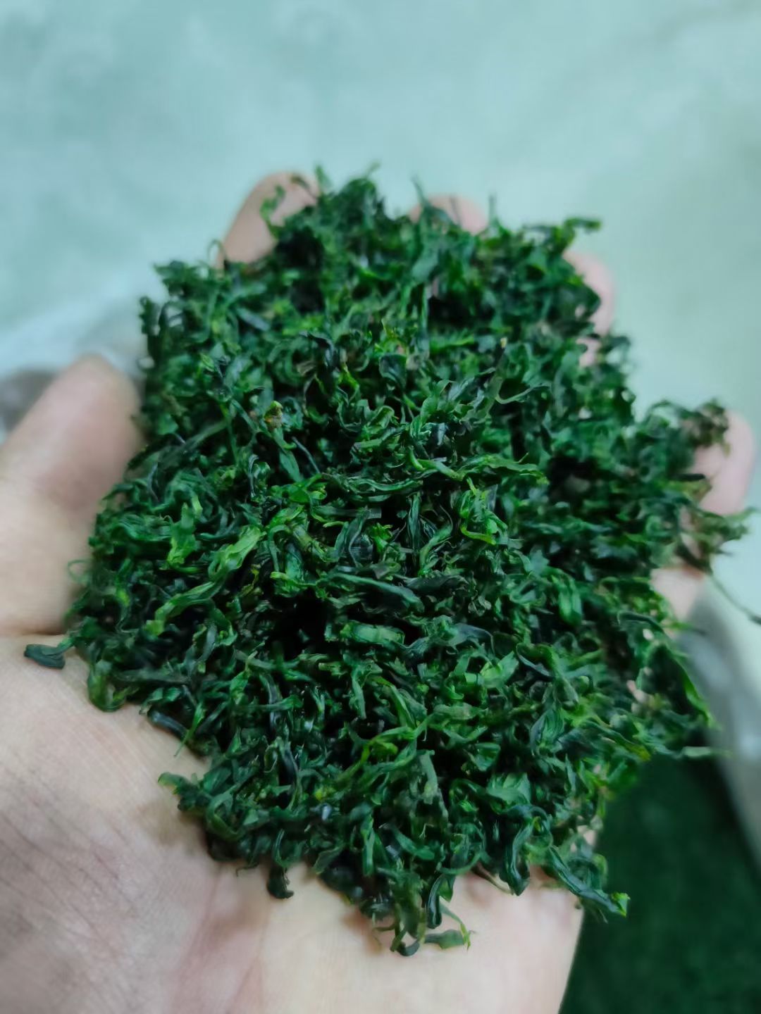 苦丁茶 小叶苦丁腾空出世，颜色绿，口感好。