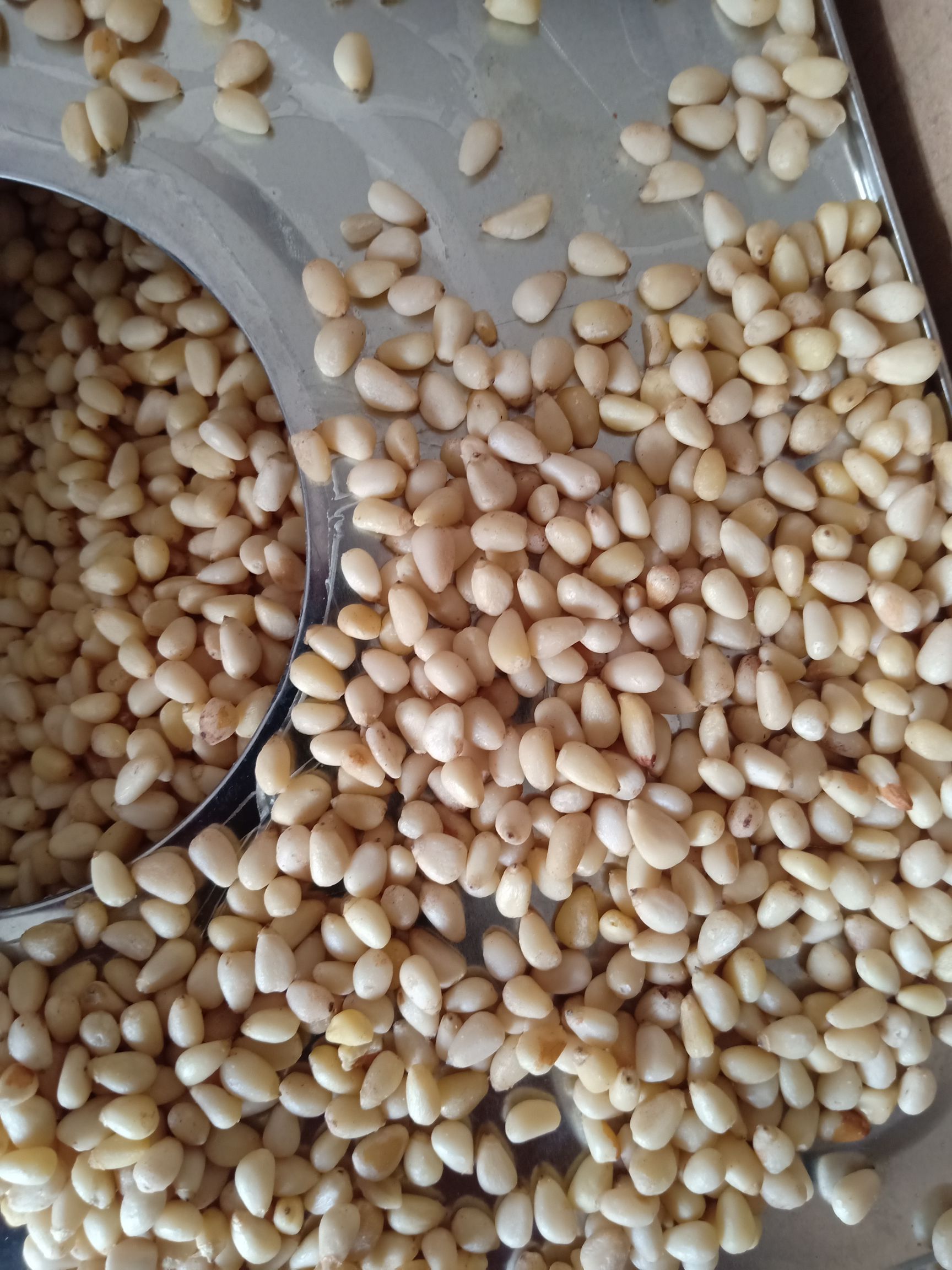 松子仁 吉林省通化市梅河口市 24个月以上