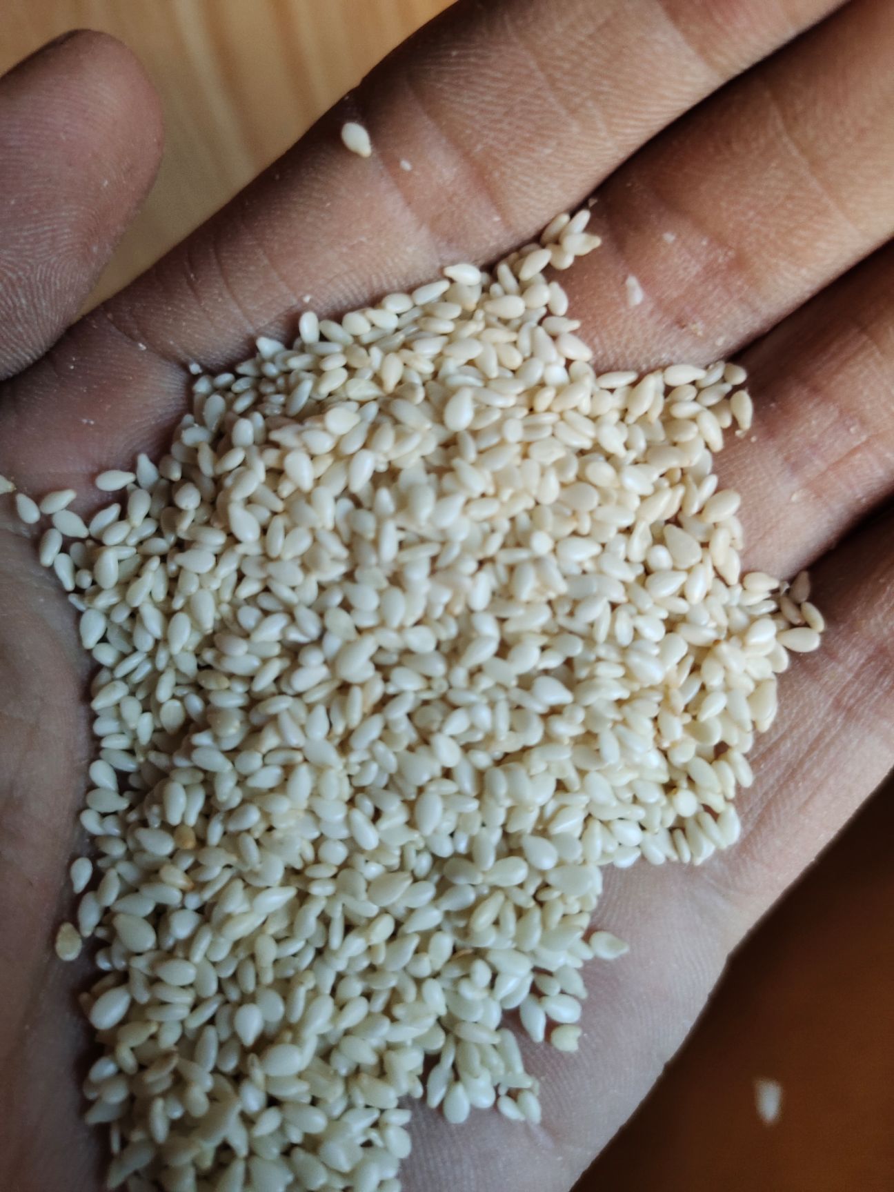 脱皮白芝麻 白芝麻 食品级质量好 价格美丽 量大从优