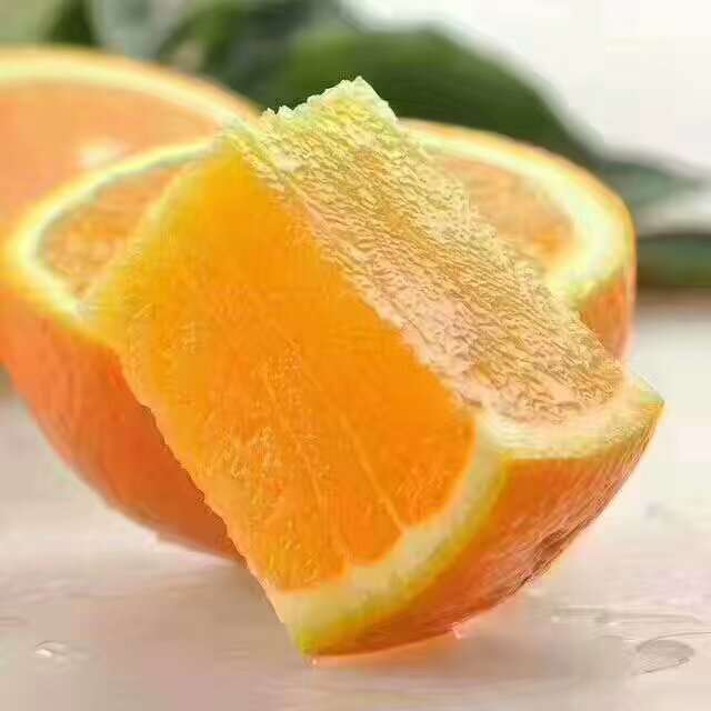 湖北秭归脐橙品种齐全一年四季鲜果供应产无中间商