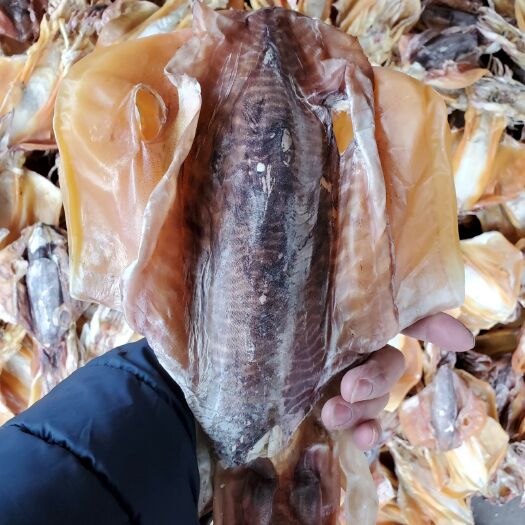 北海墨鱼干乌贼穿竹墨鱼一个6到8两左右