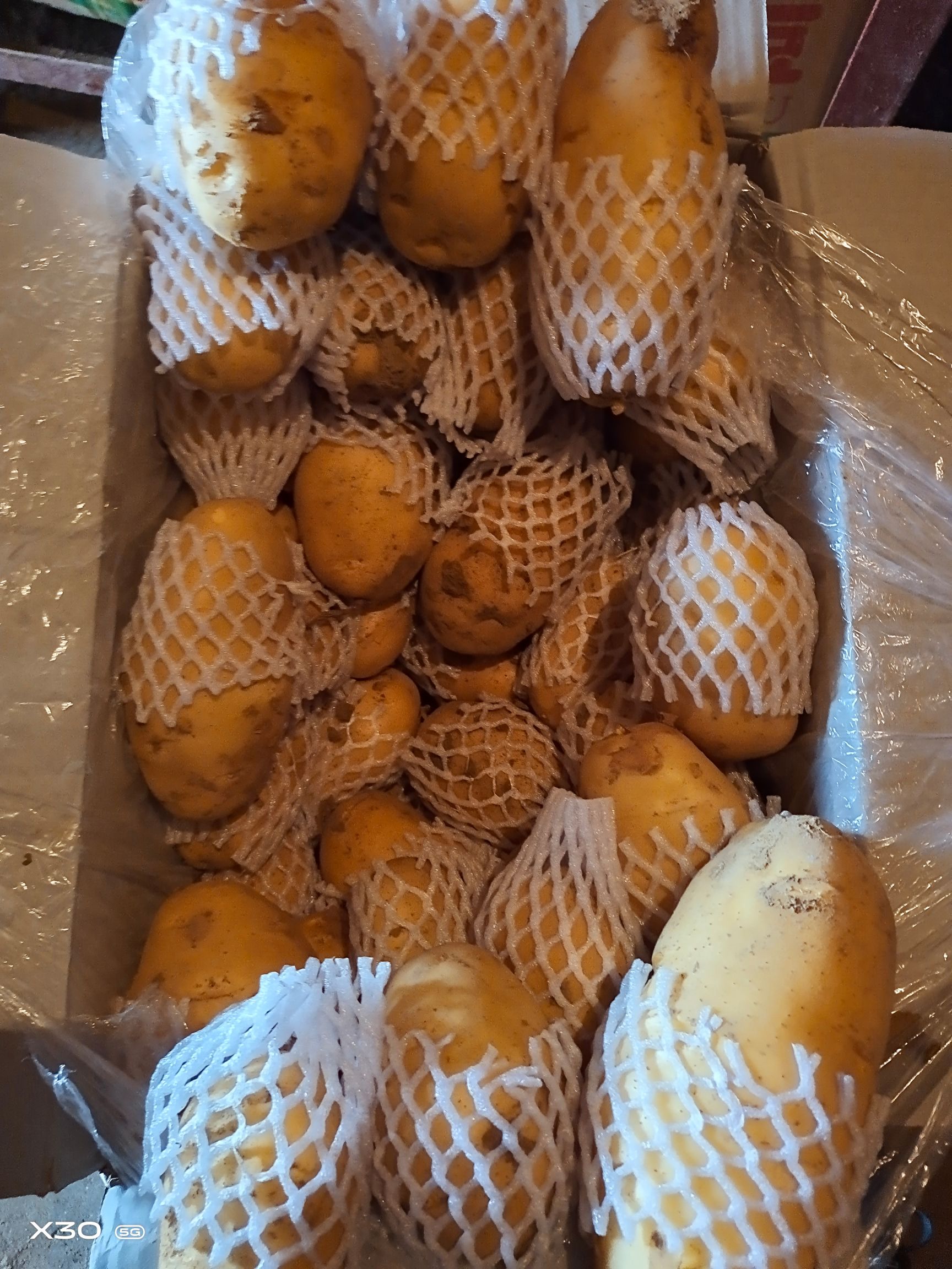 黄心土豆  山东济南平阴大量供应荷兰十五土豆规格齐全