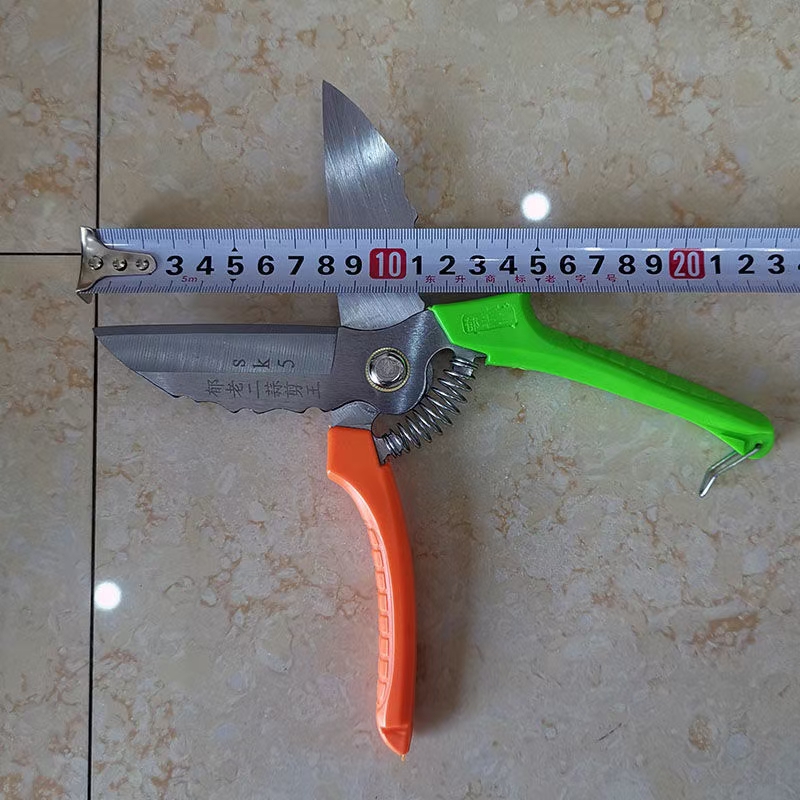 大蒜专用剪刀大蒜剪蒜剪洋葱剪大蒜