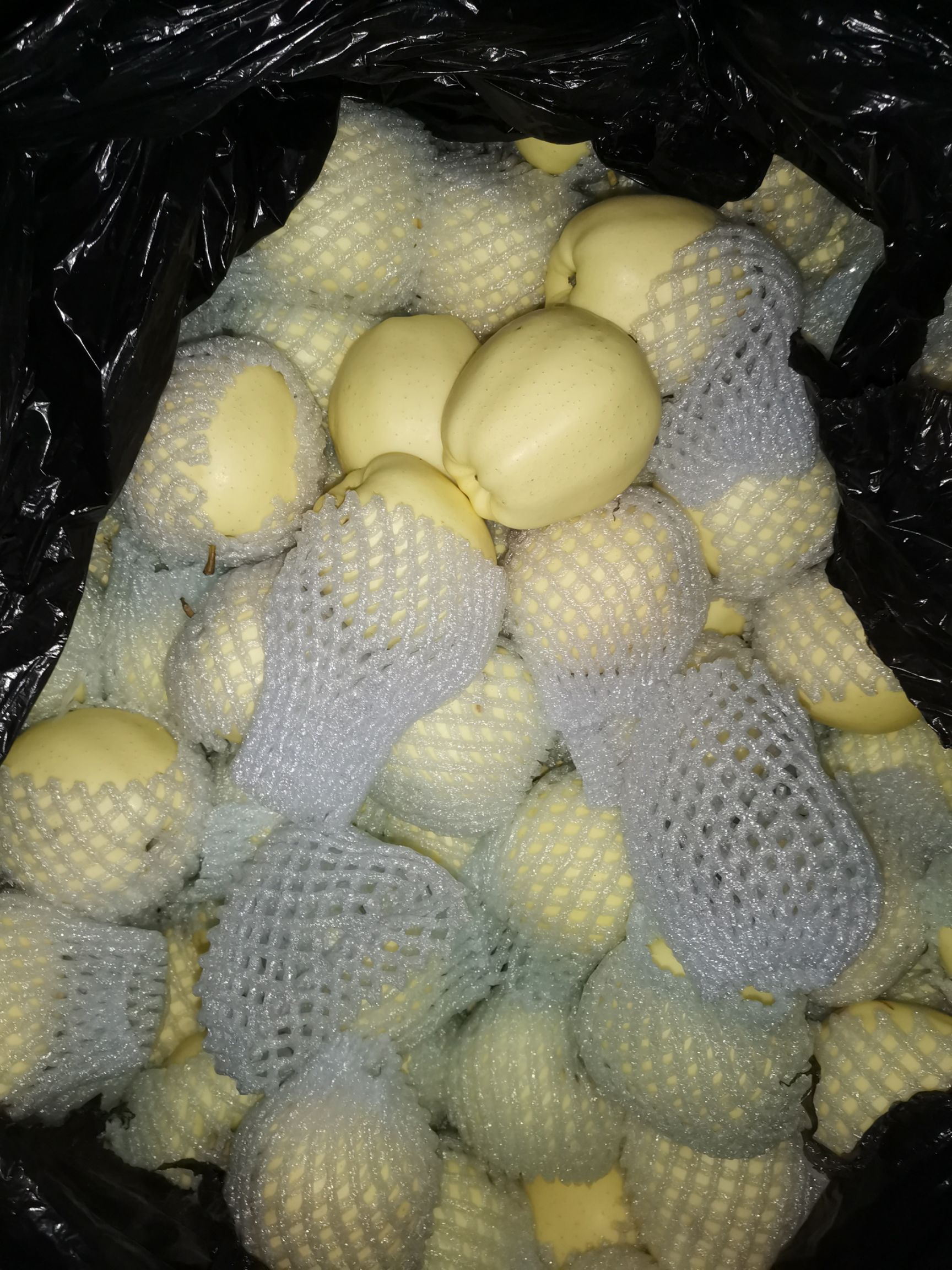 黄元帅苹果 甘肃省秦安县黄元帅