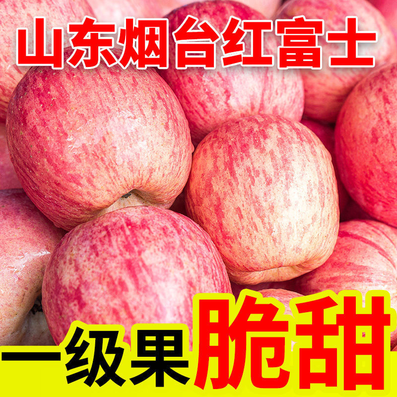 【坏果包赔】山东红富士苹果5/10斤新鲜水果苹果脆甜冰糖心