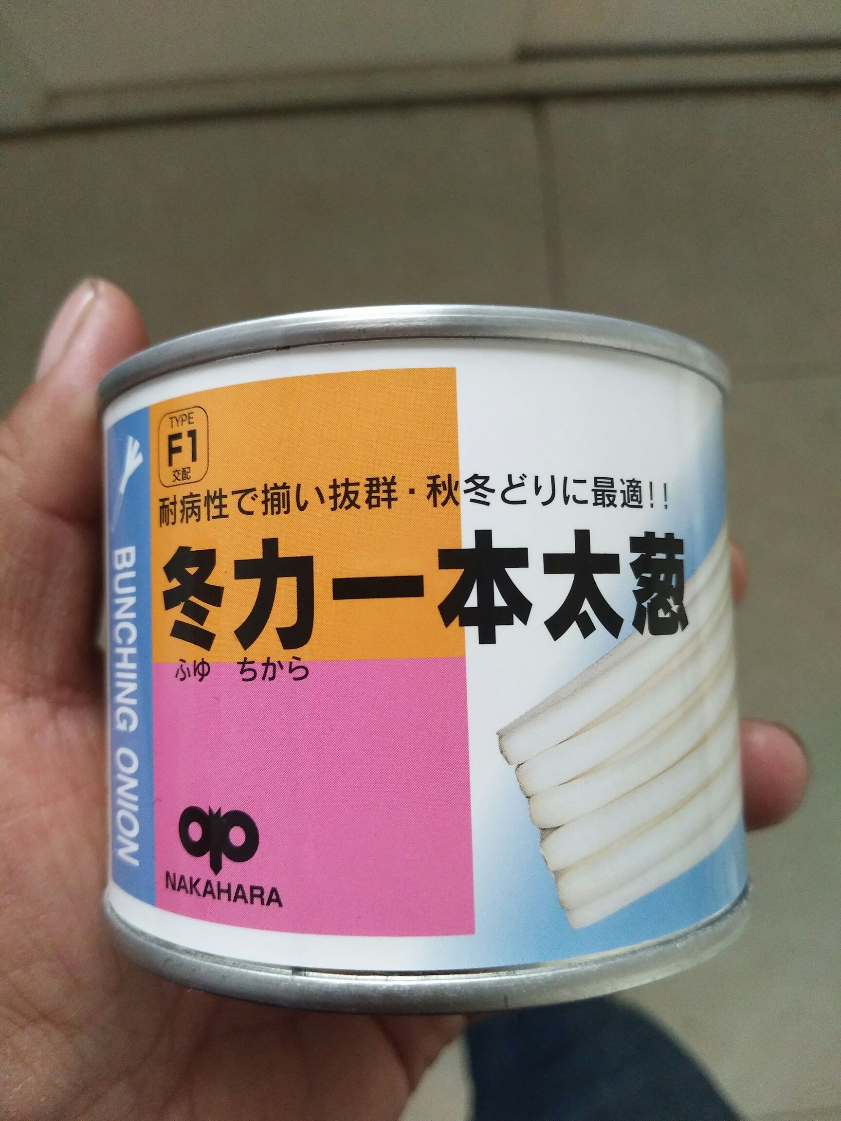 日本大葱种子  杂交类钢葱种子，冬力一本，耐热，耐涝，中片整