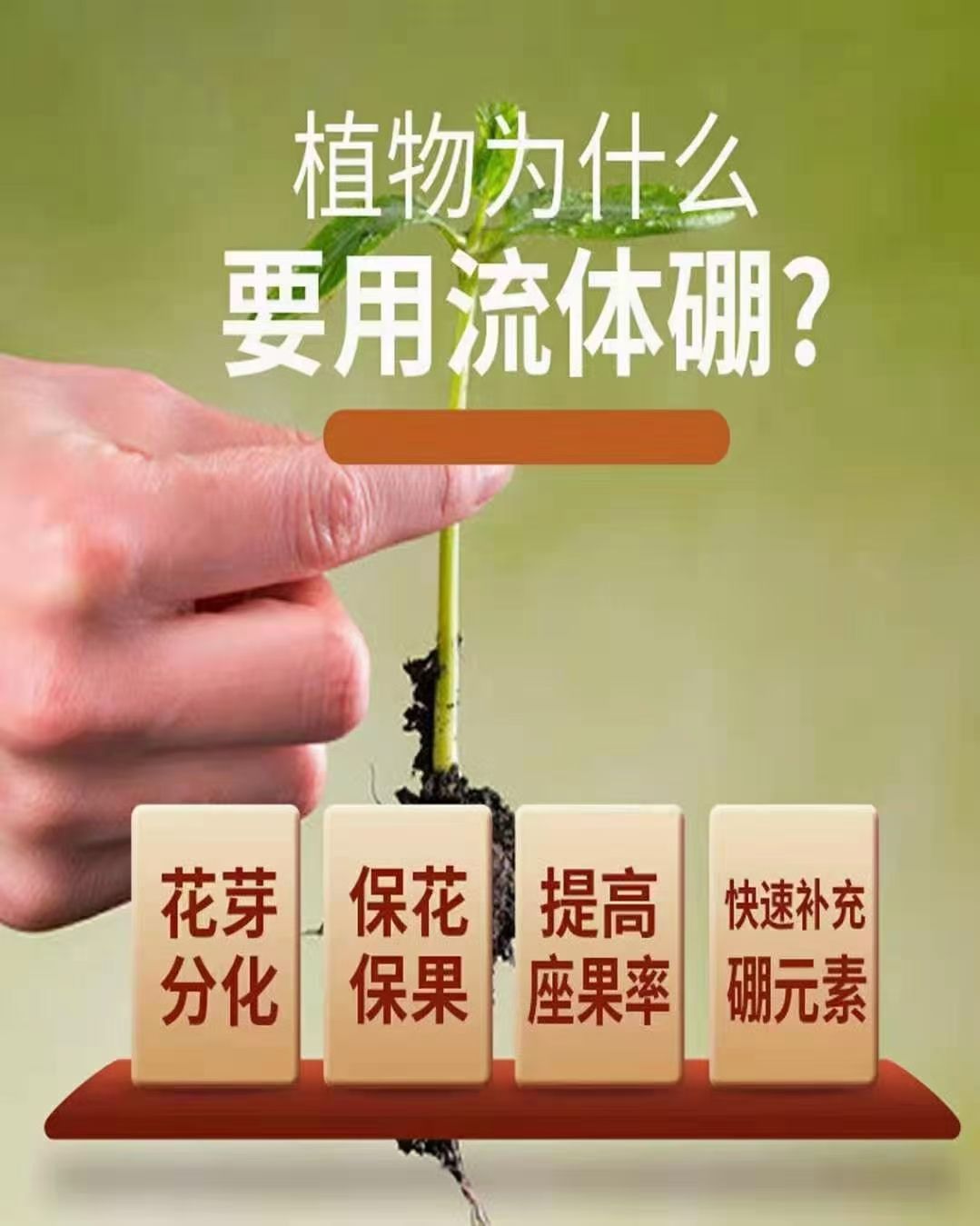 中量元素肥料  流体硼，硼肥，中微量元素，保花保果，提高坐果