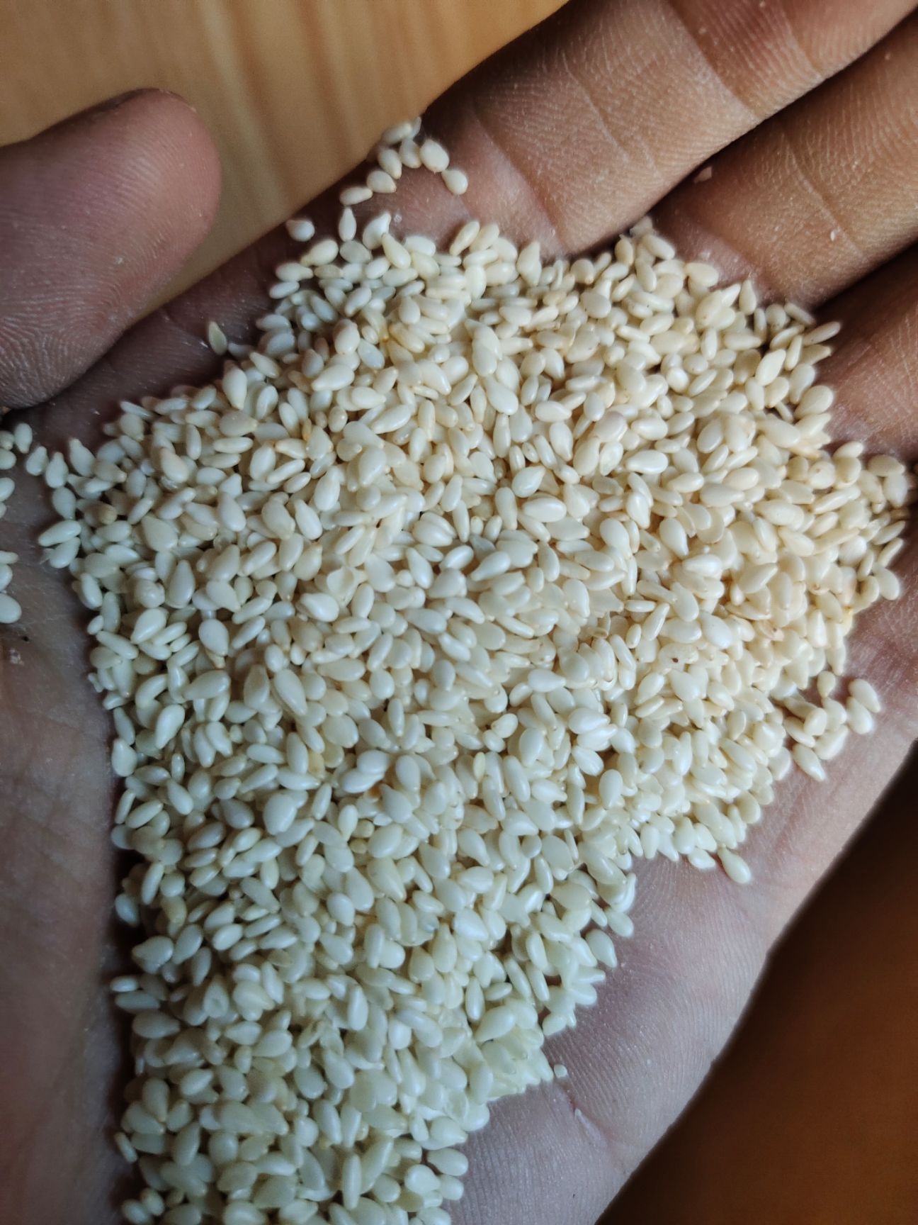 脱皮白芝麻 白芝麻 食品级质量好 价格美丽 量大从优