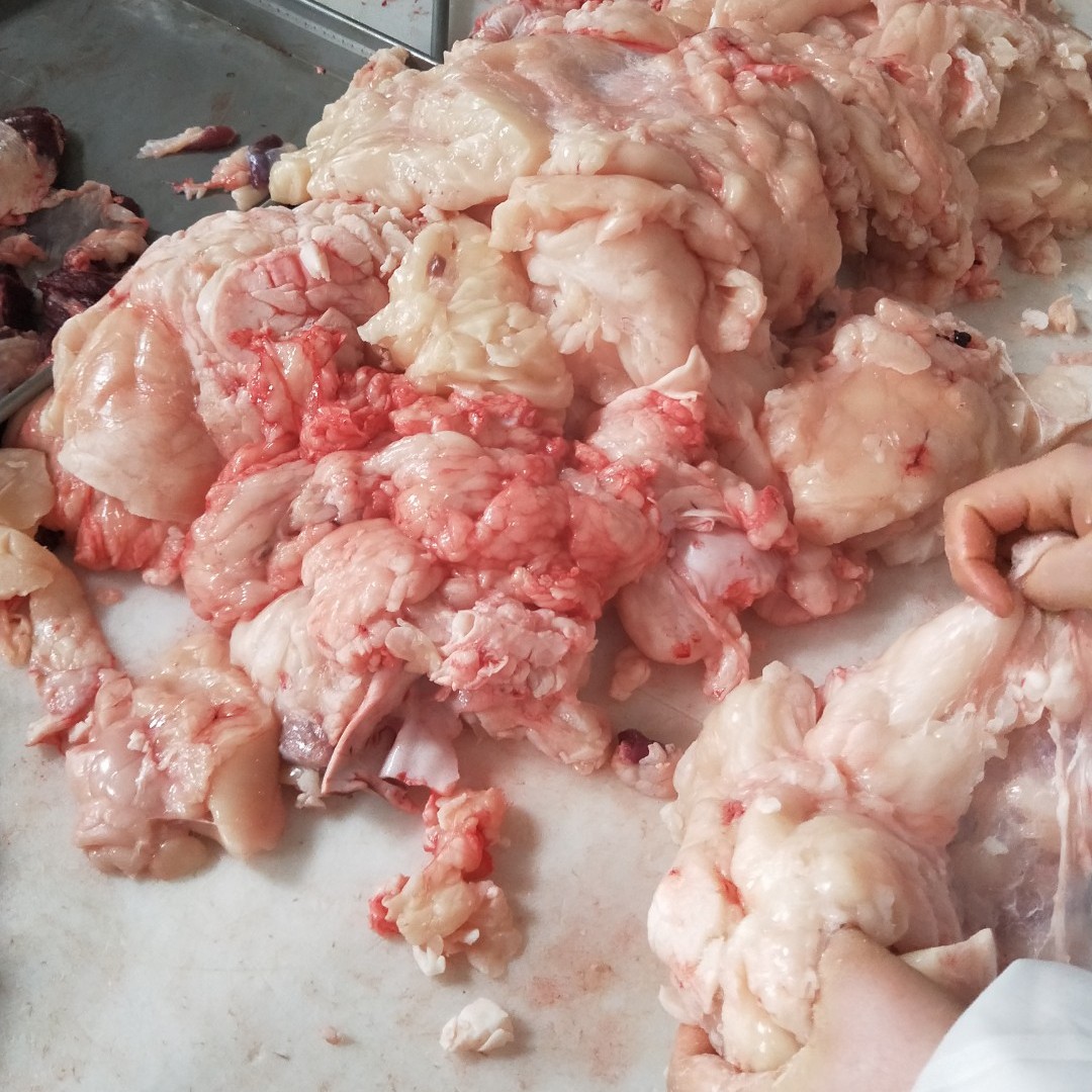 [牛油脂批发]牛油 牛踹油牛腰窝油肚油 牛杂油厂家