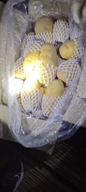 黄心土豆  山东济南平阴大量供应荷兰十五土豆规格齐全