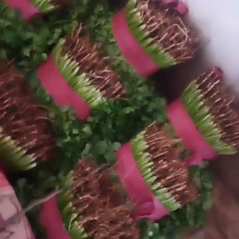 精品香菜上市中。