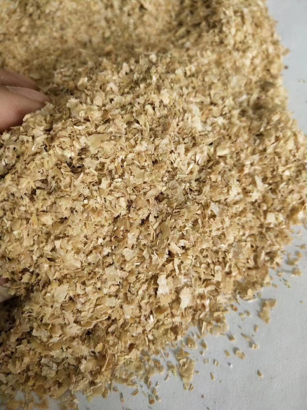 糠麸类饲料  麦麸.麸皮.大片麸皮.混合麸皮.细麸