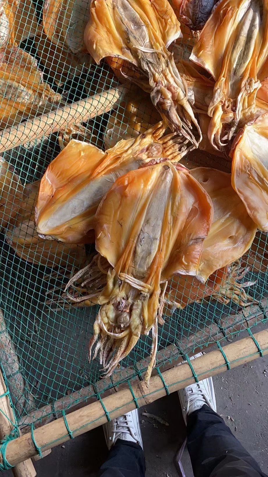 墨鱼干乌贼穿竹墨鱼一个6到8两左右