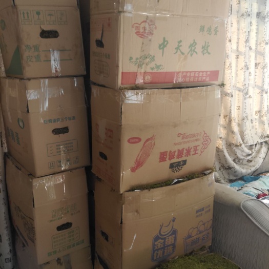 太湖县青苔 30*30工程大灰藓