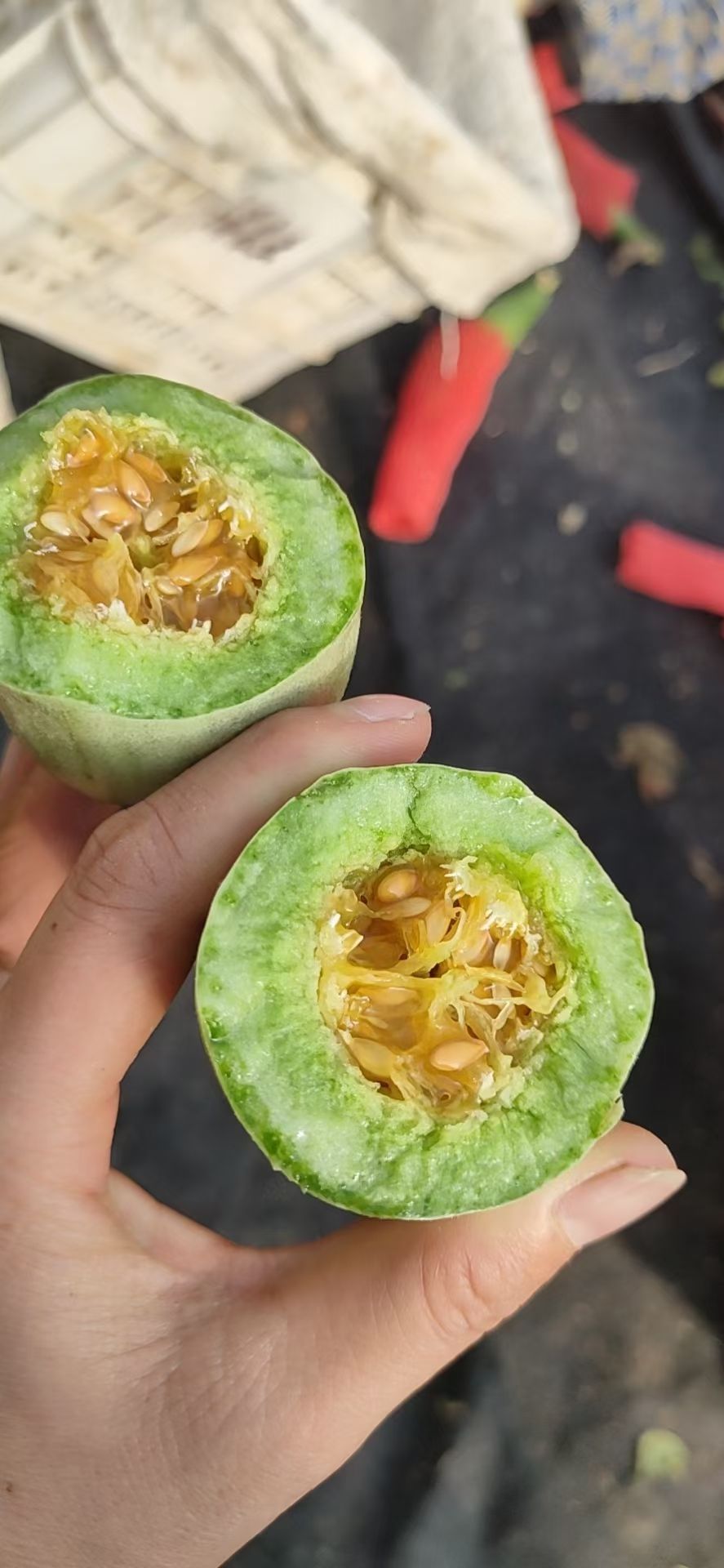 羊角蜜甜瓜  山东产地羊角密甜 一手货源 产地直发，全国供货 批发商采购商