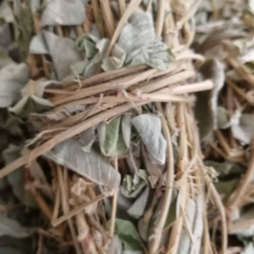 玉林【精选】新鲜切段金钱草，和扎把金钱草，颜色青绿/大量起批