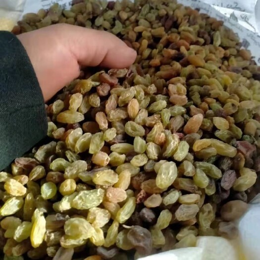 吐鲁番 无用速干剂绿葡萄干  无害绿色产品 市场缺货状态  抓紧下单