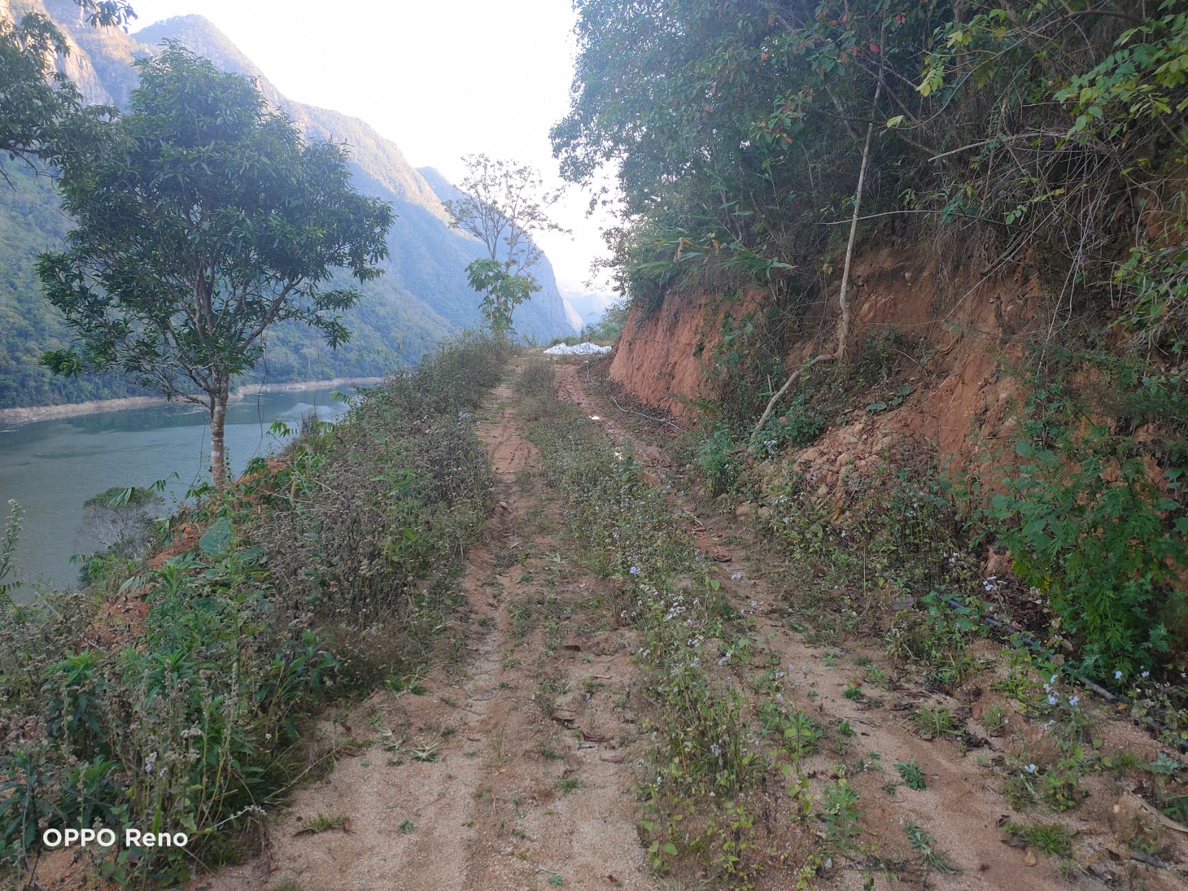 澜沧江边山地可退耕还林！四季无霜可租可转！还剩35年！