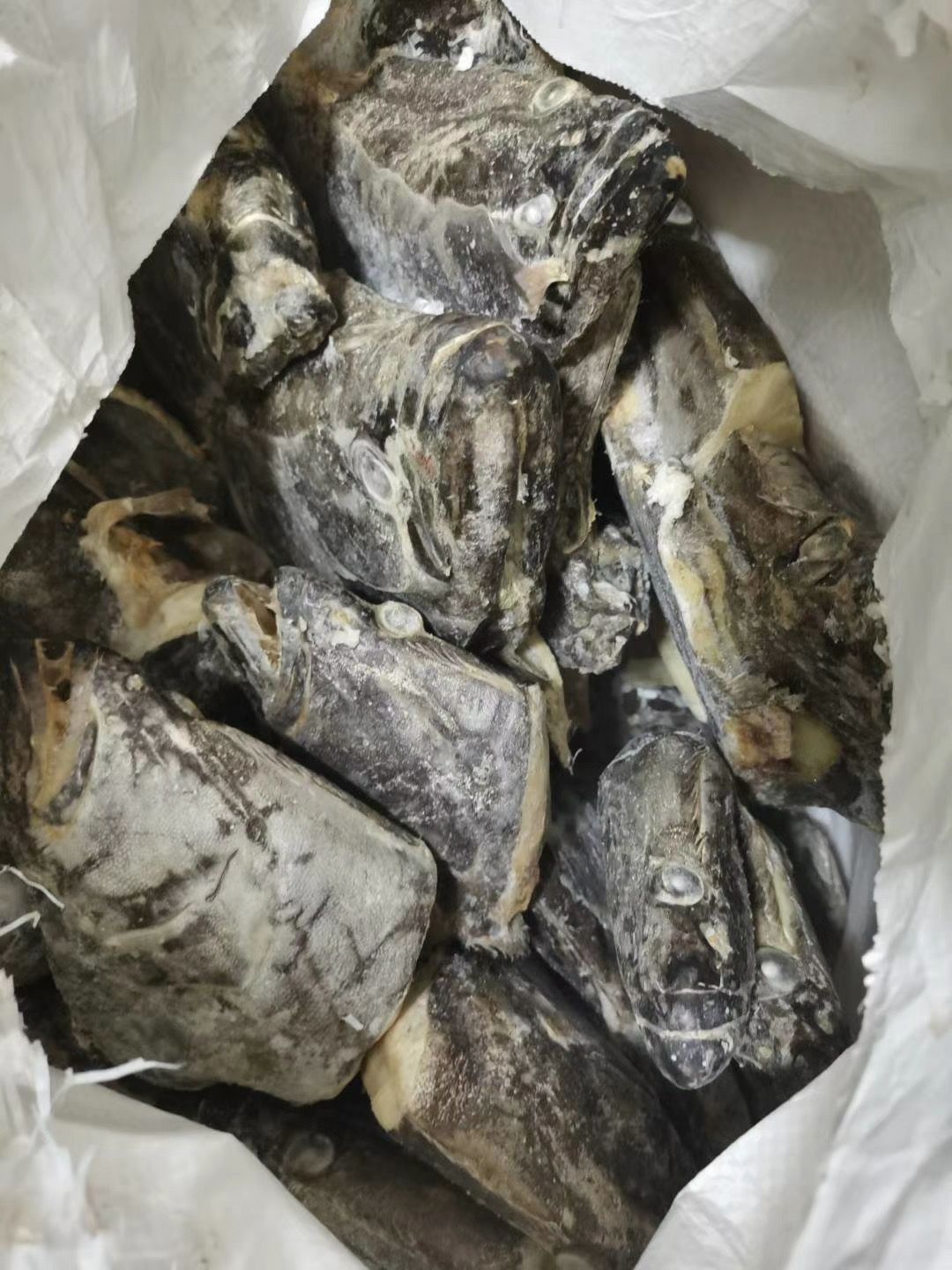 比目鱼  碟鱼头