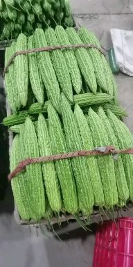 新农村苦瓜 苦瓜