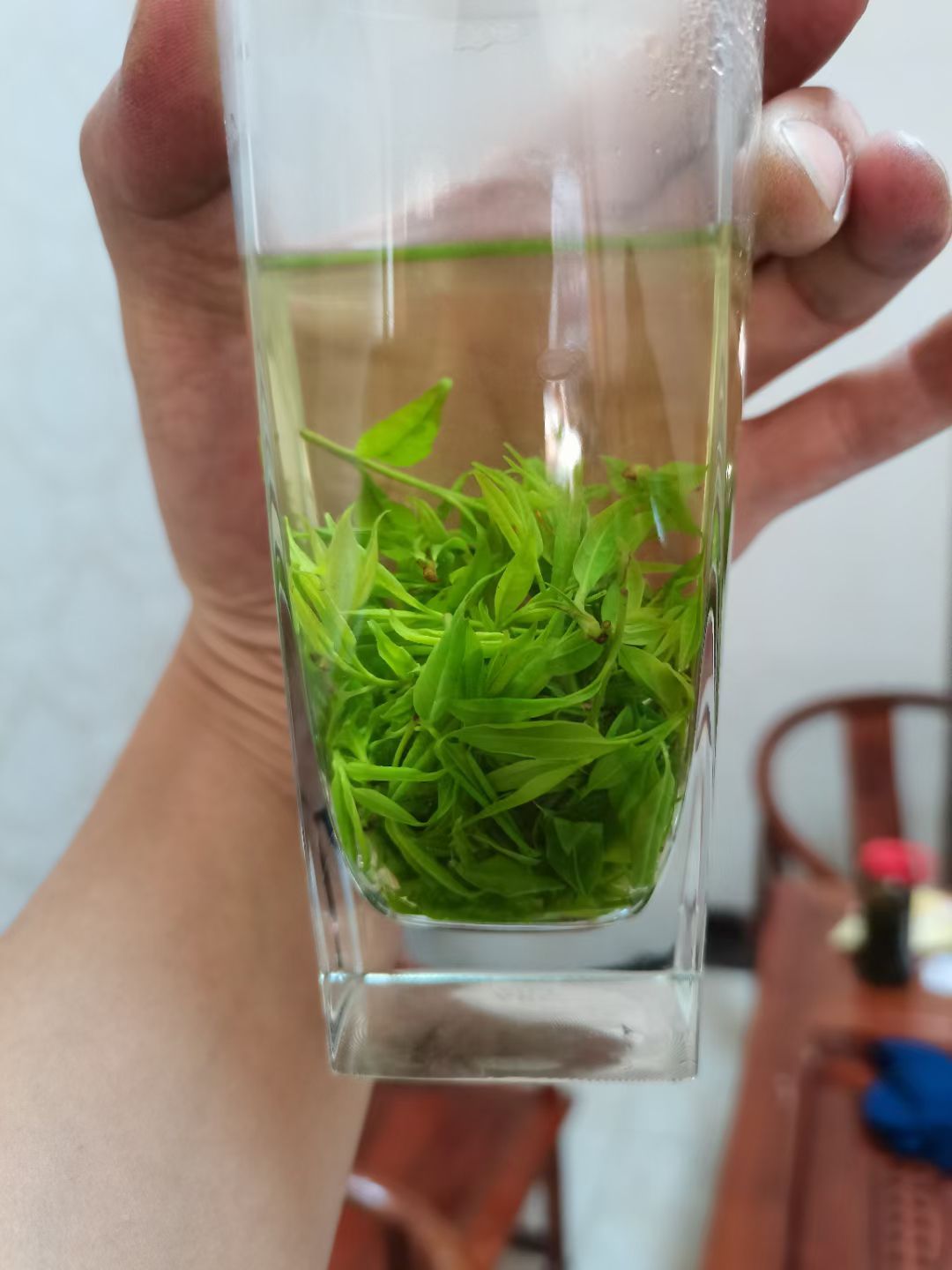 苦丁茶 小叶苦丁腾空出世，颜色绿，口感好。