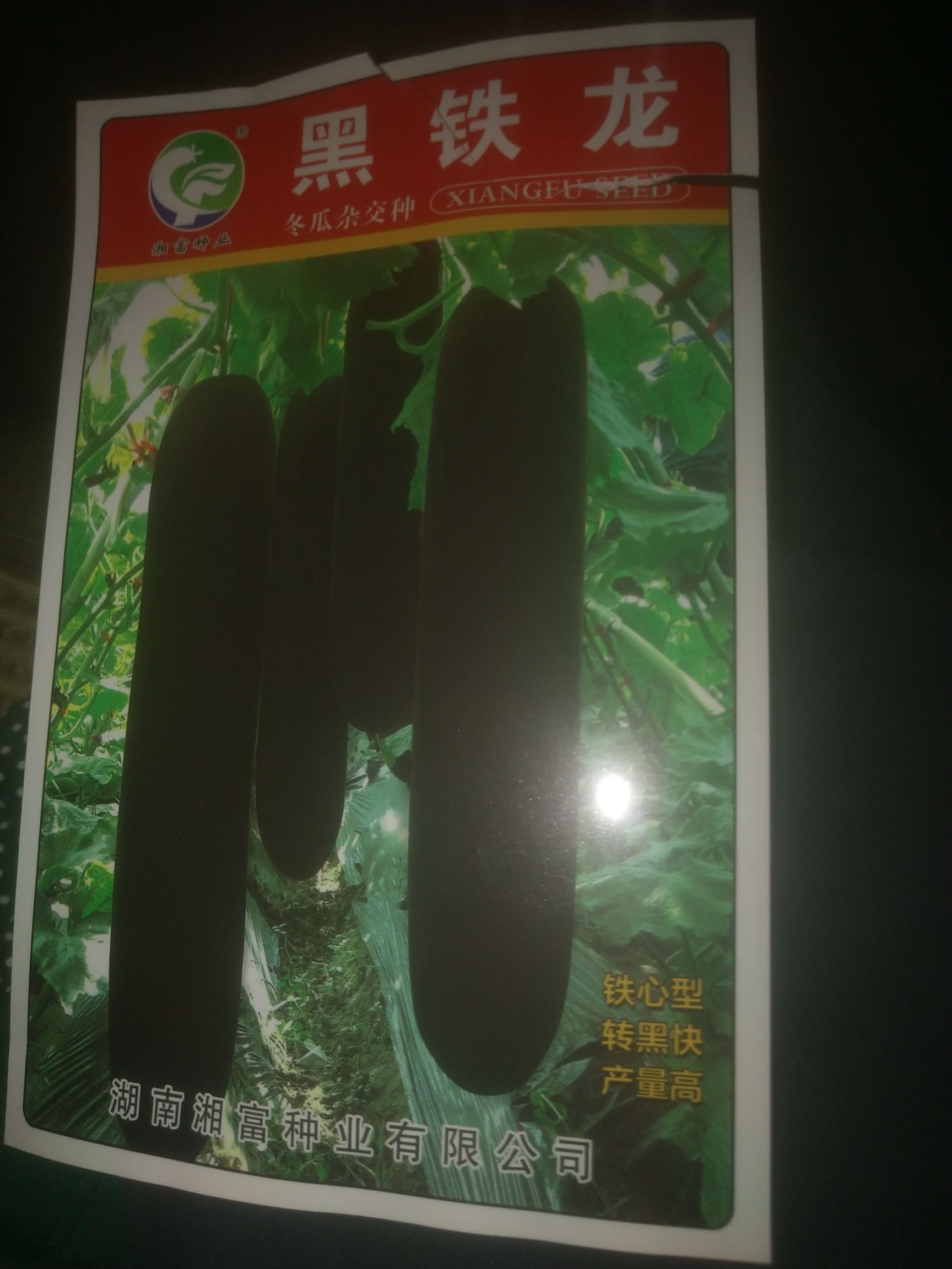 农友银辉甜瓜。。甜王西瓜苗  嫁接甜王5号3号0号。绿赏嫁接