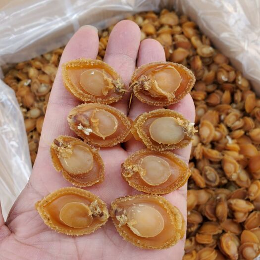 北海鲍鱼干  鲍鱼捞饭佛跳墙鲍鱼专用鲍鱼炖汤