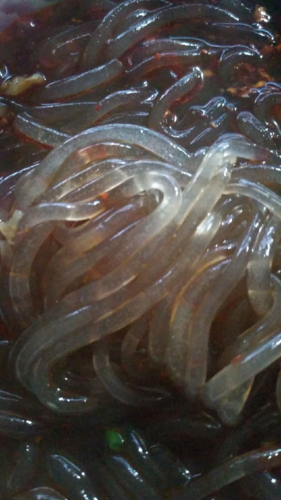 粉丝粉条 龙河红薯粉条精工制作柔韧可口