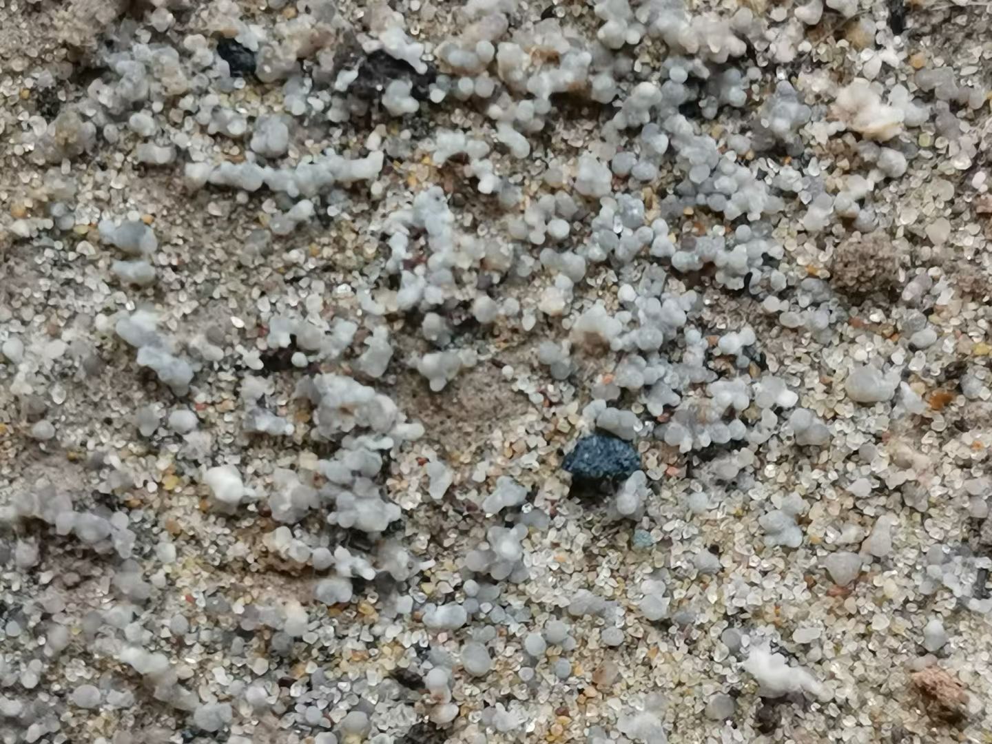 羊肚菌菌z   羊肚菌栽培袋  羊肚菌栽培袋  产量高