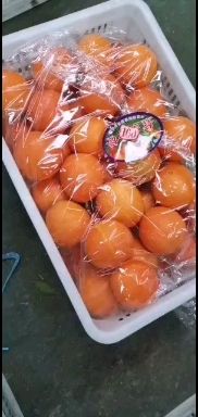湖北秭归脐橙品种齐全一年四季鲜果供应产无中间商