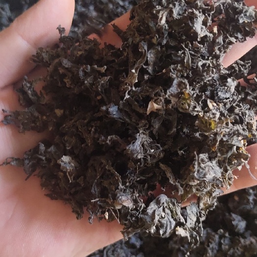 海原县地皮菜 特级 