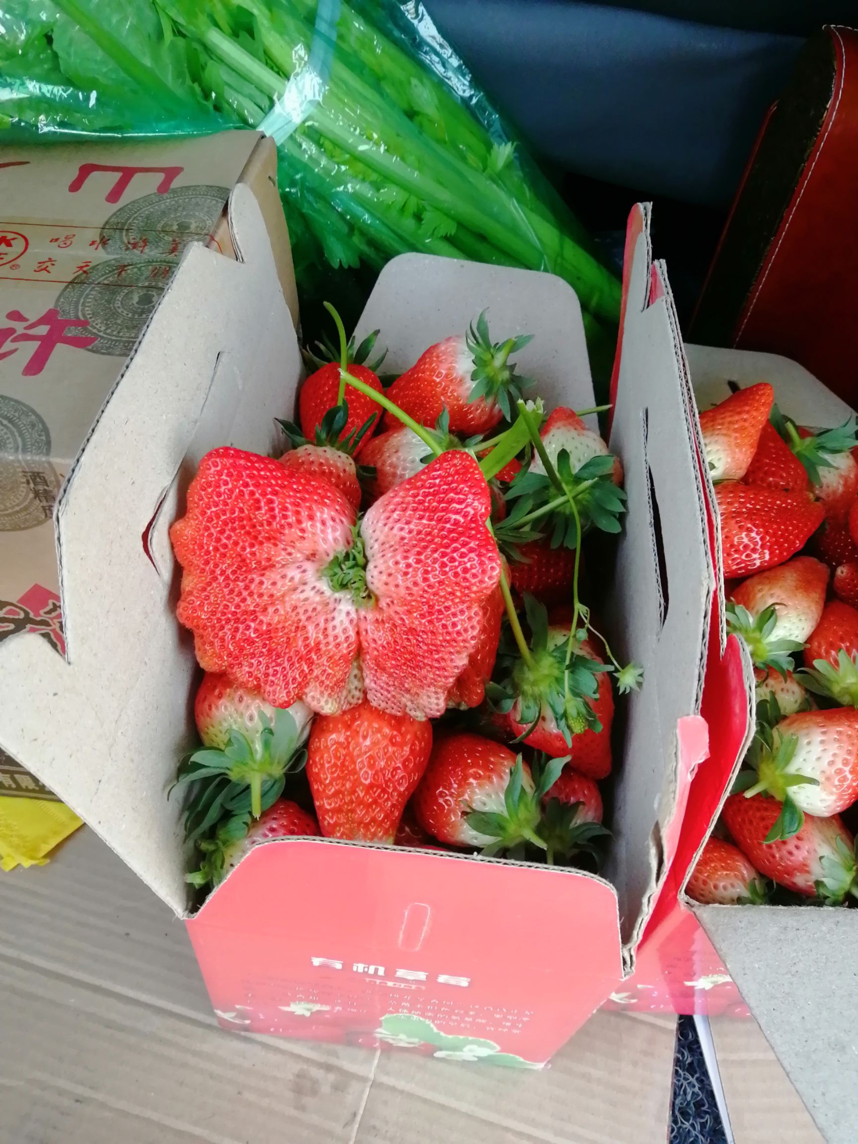 甜宝草莓 山东省济南市历城区 市场果 