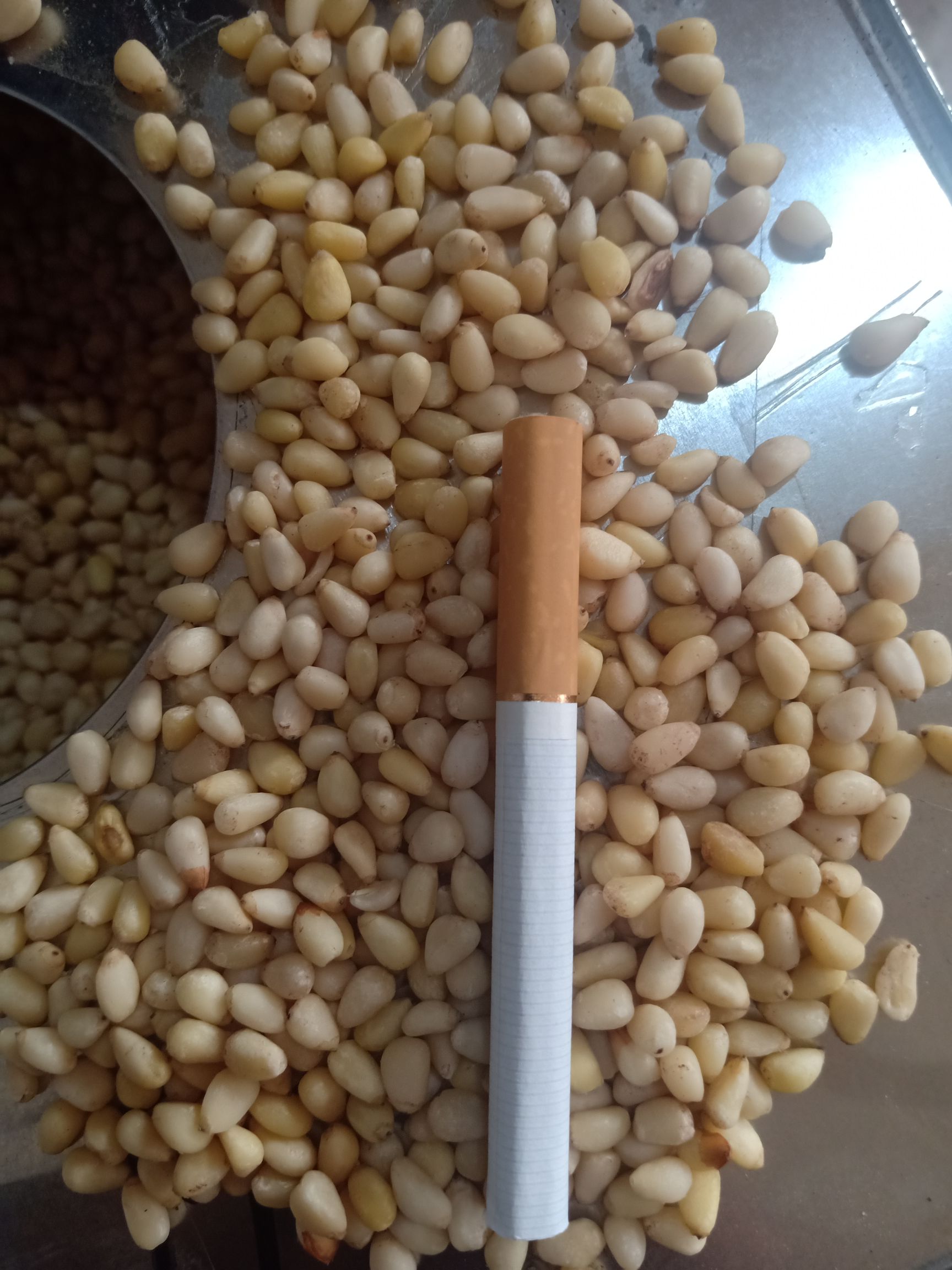 松子仁  红松仁 雪松仁 云南 华山