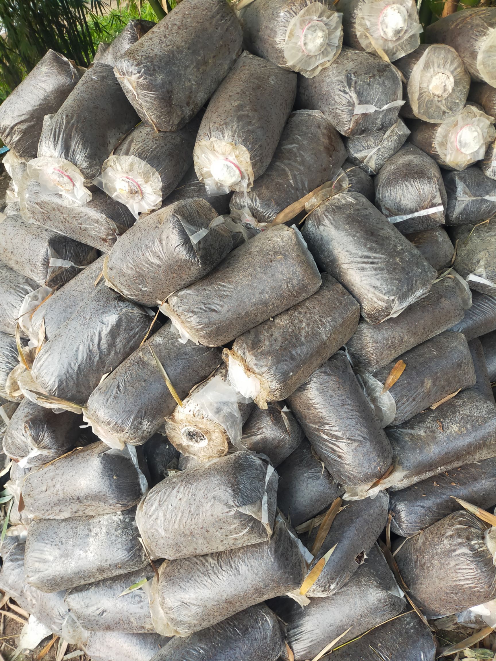 螯合肥料  有机肥，蘑菇废料