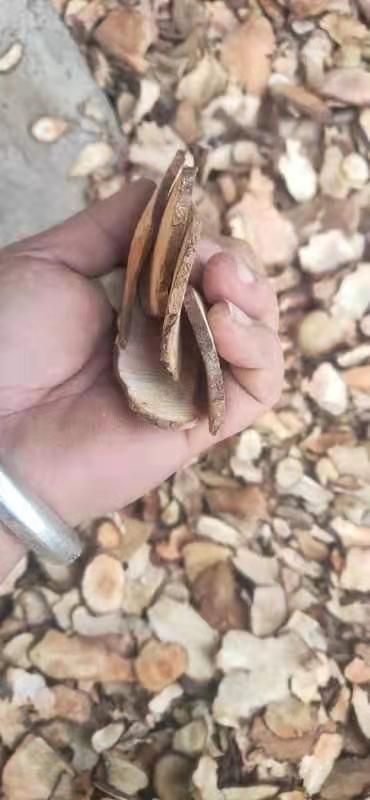 土茯苓薄片厚片大量有货