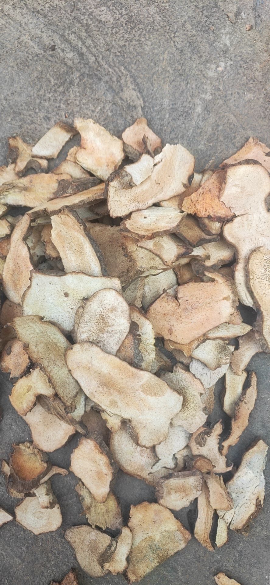 土茯苓薄片厚片大量有货