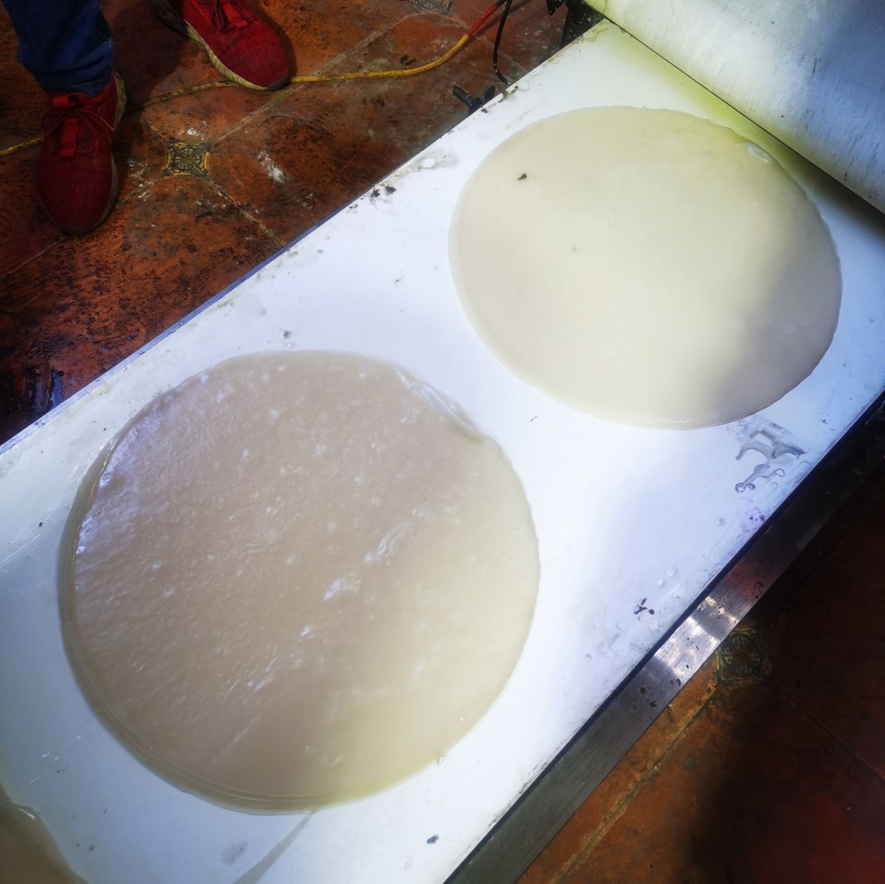  全自动凉皮机 数控智能触摸屏凉皮机 厂家货源质量保证