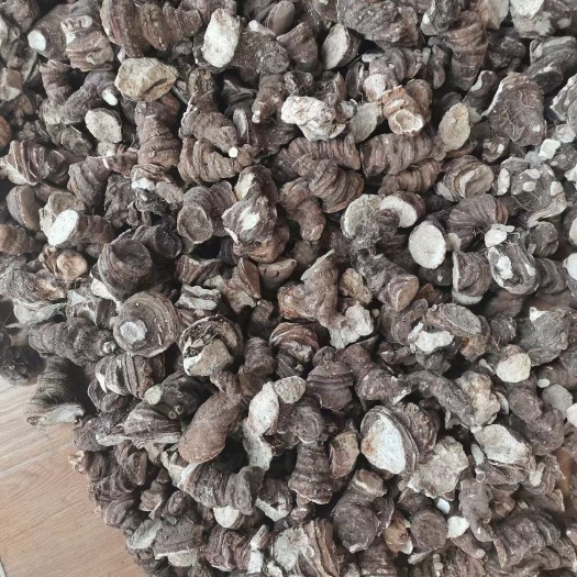 滇重楼  出售云南滇虫楼，毛虫楼，全干货，