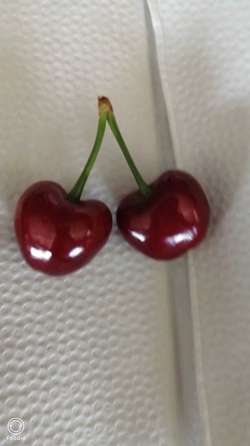 美早樱桃  美早大樱桃，糖分十八以上，硬度高，售后少，保证口感