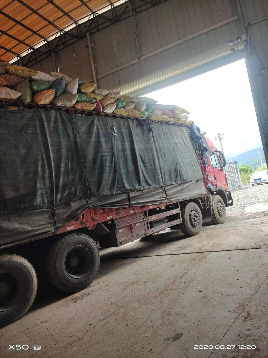 玉米饼饲料  新鲜地瓜皮，干湿地瓜皮都有