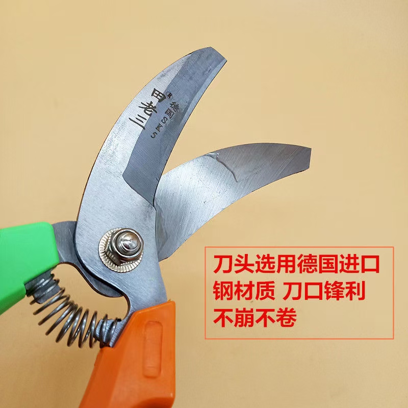 大蒜专用剪刀大蒜剪蒜剪洋葱剪大蒜