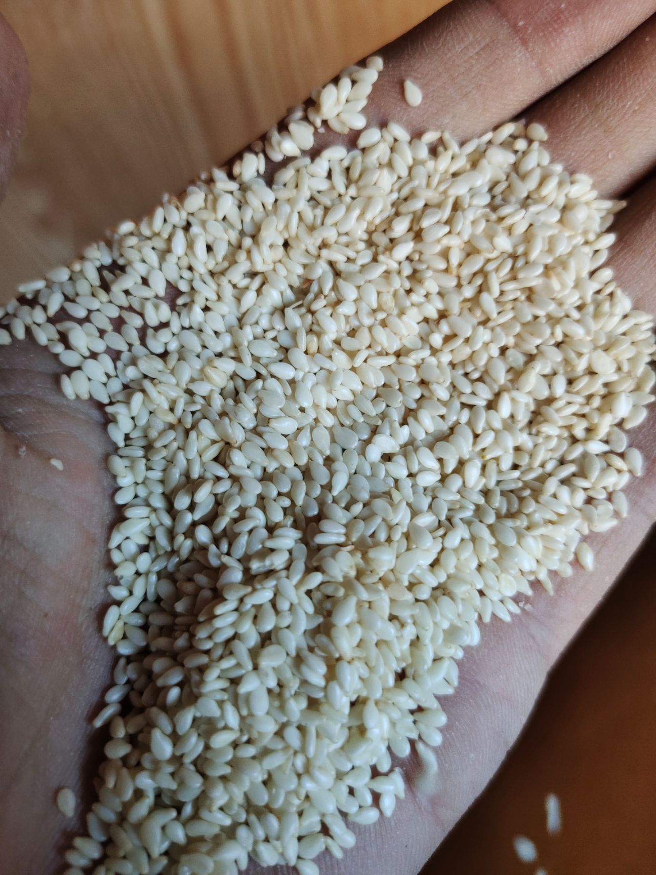 脱皮白芝麻 白芝麻 食品级质量好 价格美丽 量大从优