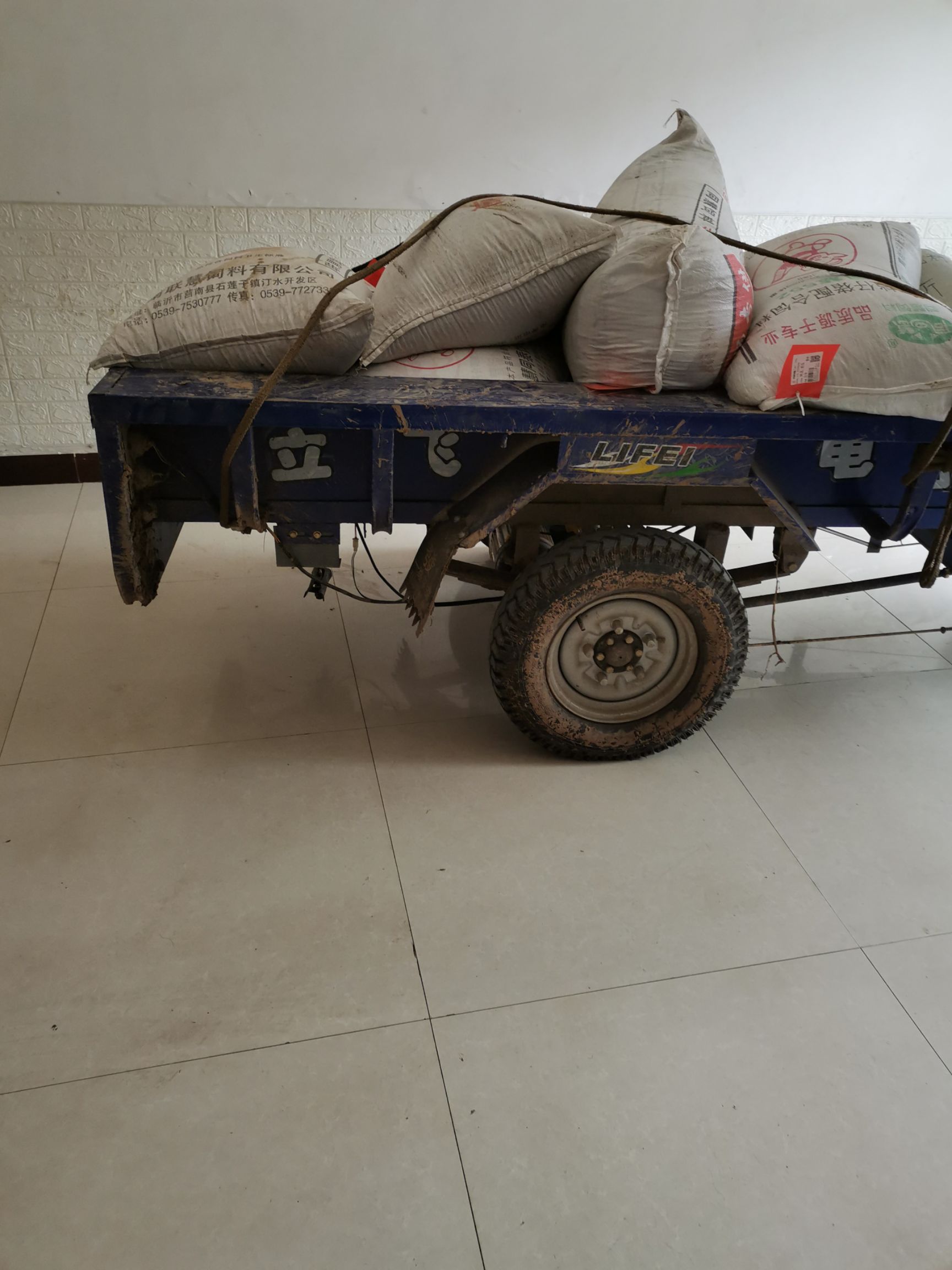 柳树种子  杠柳种子产地自产自销，质量有保障。