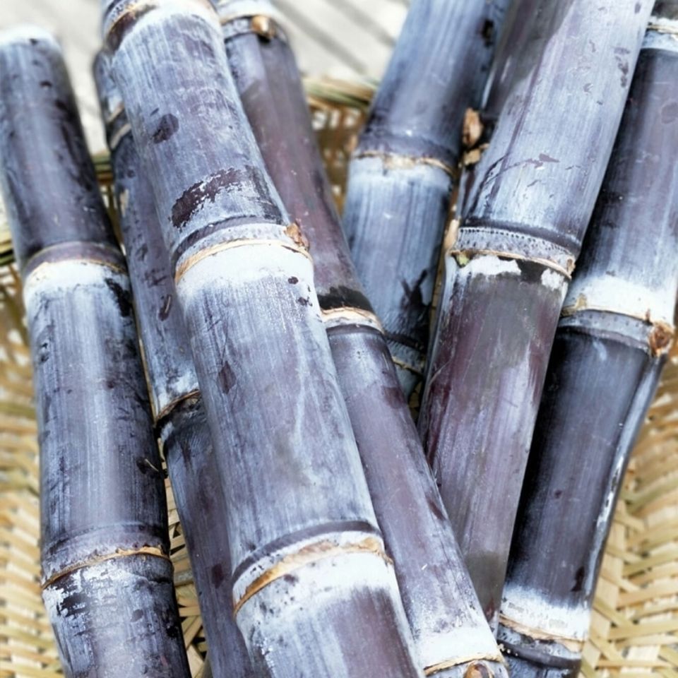 现砍广西黑皮甘蔗水果当季特产脆甜杆果蔗整箱新鲜包邮