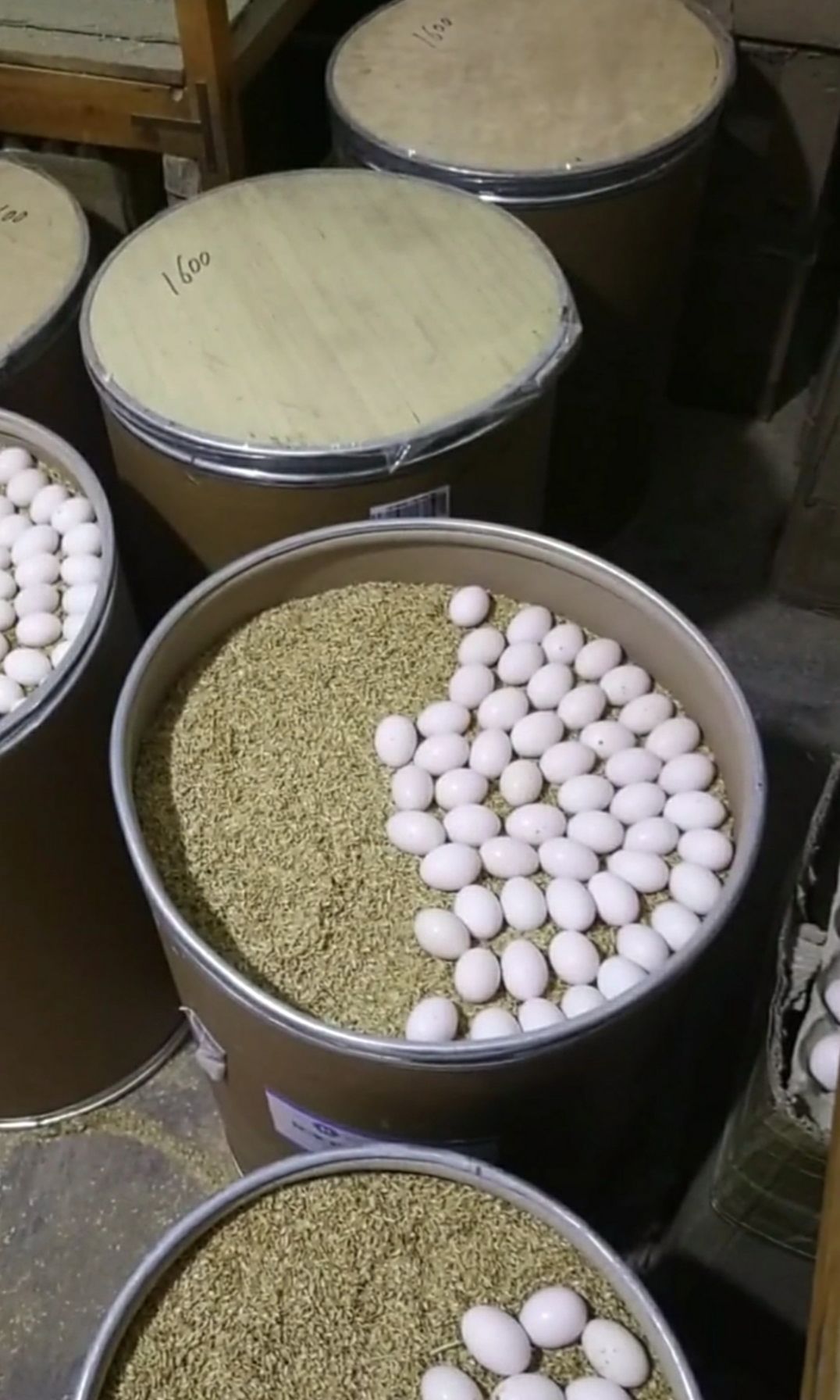 鸽子蛋 新鲜农家原粮现货供应保证新鲜货源稳定常年供应