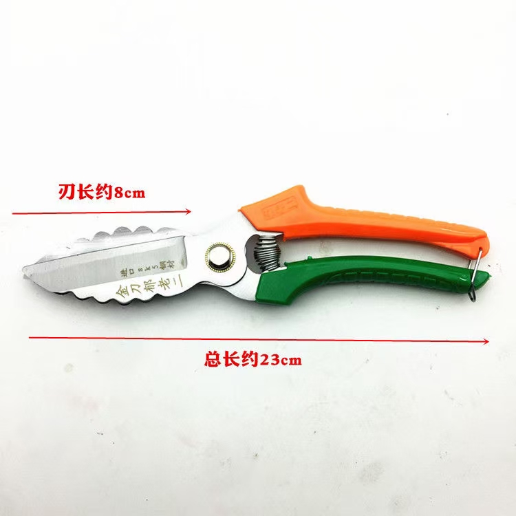 大蒜专用剪刀大蒜剪蒜剪洋葱剪大蒜