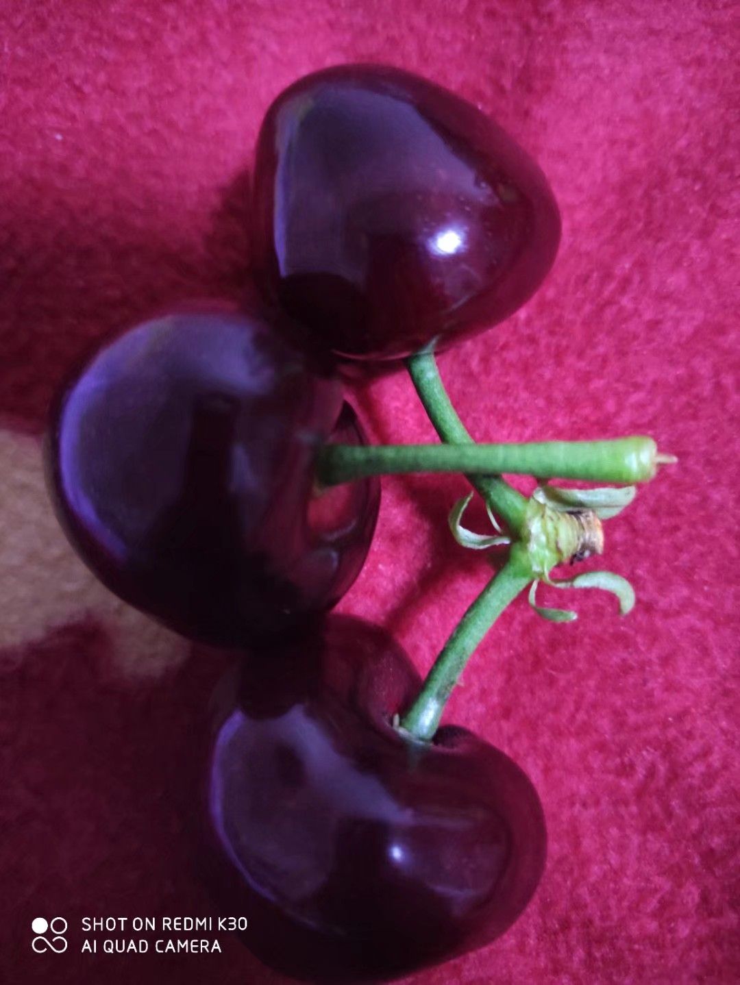 美早樱桃  美早大樱桃，糖分十八以上，硬度高，售后少，保证口感