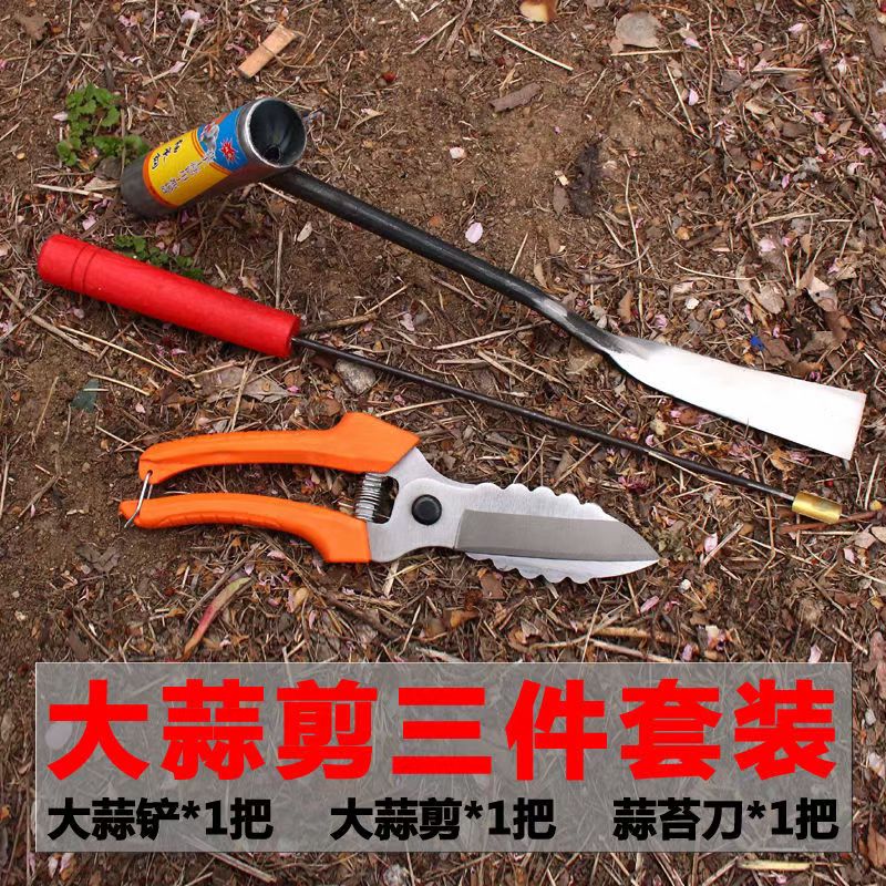 大蒜专用剪刀大蒜剪蒜剪洋葱剪大蒜